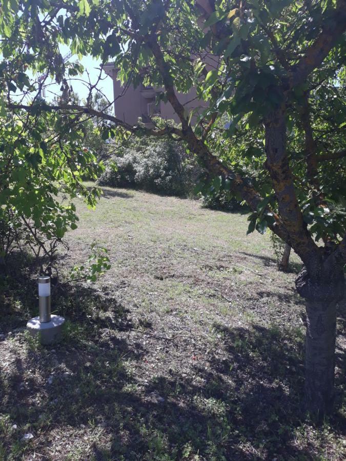 Villa Immersa Nel Verde L'Aquila Bagian luar foto